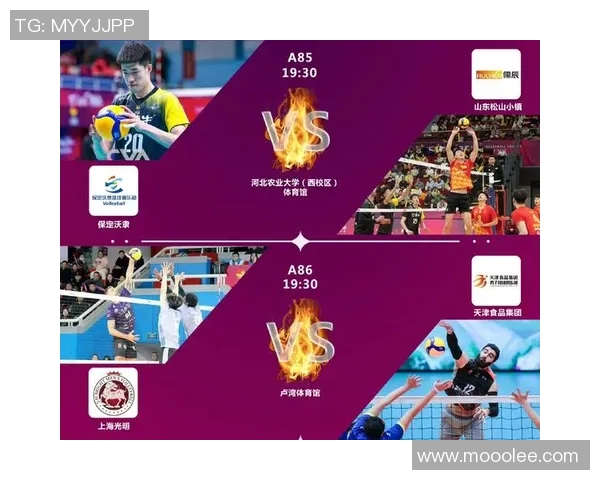 赛后分析：上海排球队与成都排球队的耐力较量及其影响因素探讨