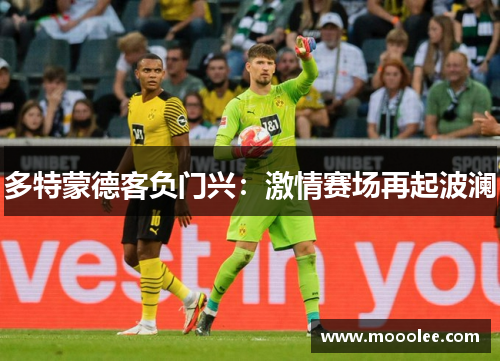 多特蒙德客负门兴：激情赛场再起波澜