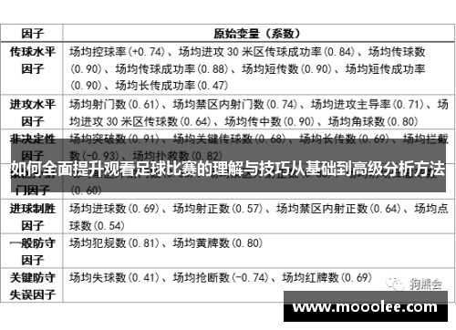 如何全面提升观看足球比赛的理解与技巧从基础到高级分析方法